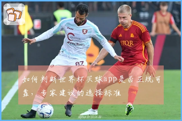 如何判断世界杯买球app是否正规可靠，专家建议的选择标准
