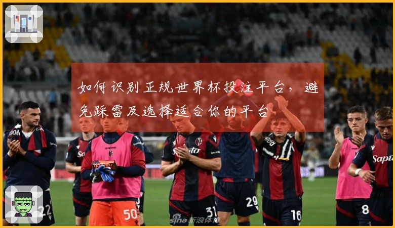 如何识别正规世界杯投注平台，避免踩雷及选择适合你的平台