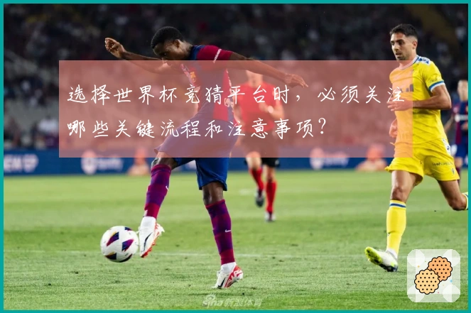 选择世界杯竞猜平台时，必须关注哪些关键流程和注意事项？