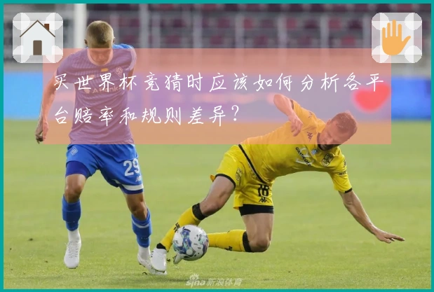 买世界杯竞猜时应该如何分析各平台赔率和规则差异？