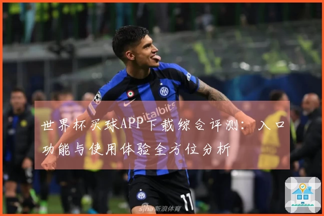 世界杯买球APP下载综合评测:入口功能与使用体验全方位分析