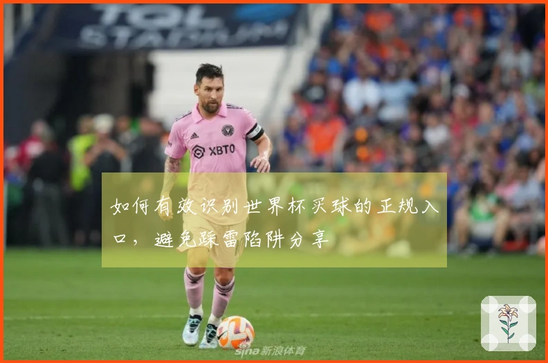 如何有效识别世界杯买球的正规入口，避免踩雷陷阱分享