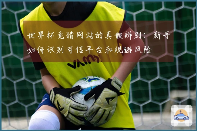 世界杯竞猜网站的真假辨别：新手如何识别可信平台和规避风险