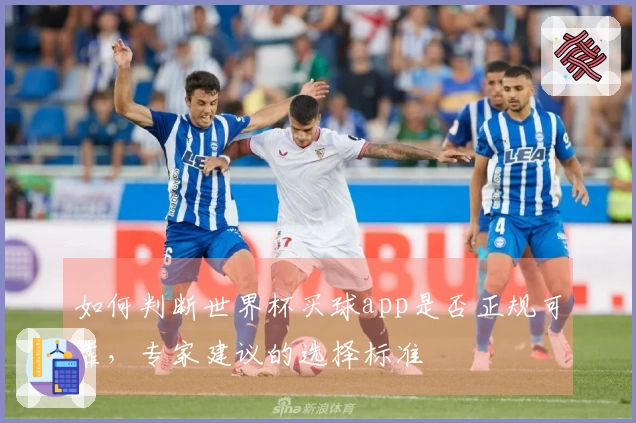 如何判断世界杯买球app是否正规可靠,专家建议的选择标准