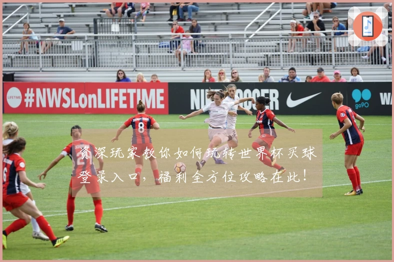资深玩家教你如何玩转世界杯买球登录入口，福利全方位攻略在此！