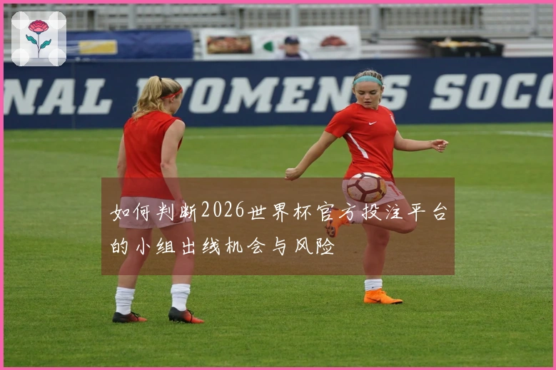 如何判断2026世界杯官方投注平台的小组出线机会与风险