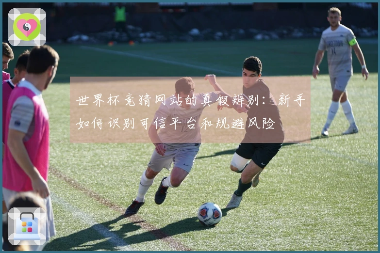 世界杯竞猜网站的真假辨别：新手如何识别可信平台和规避风险