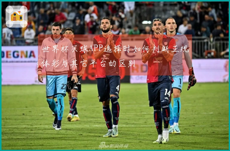 世界杯买球APP选择时如何判断正规体彩与其它平台的区别