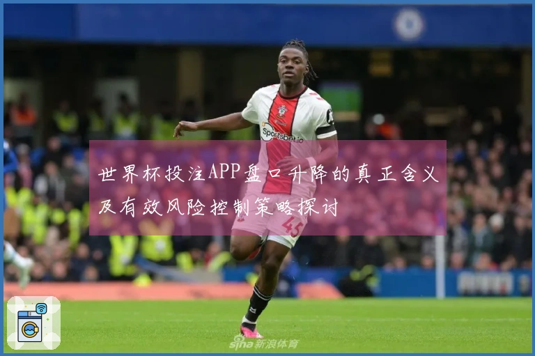 世界杯投注APP盘口升降的真正含义及有效风险控制策略探讨