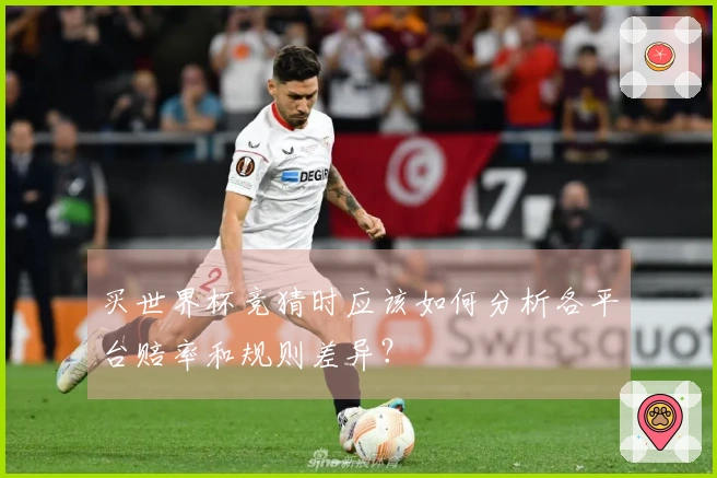 买世界杯竞猜时应该如何分析各平台赔率和规则差异？