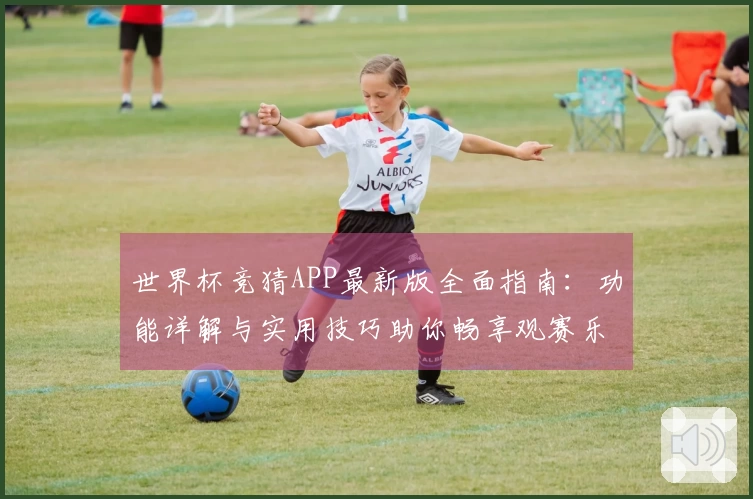 世界杯竞猜APP最新版全面指南：功能详解与实用技巧助你畅享观赛乐趣