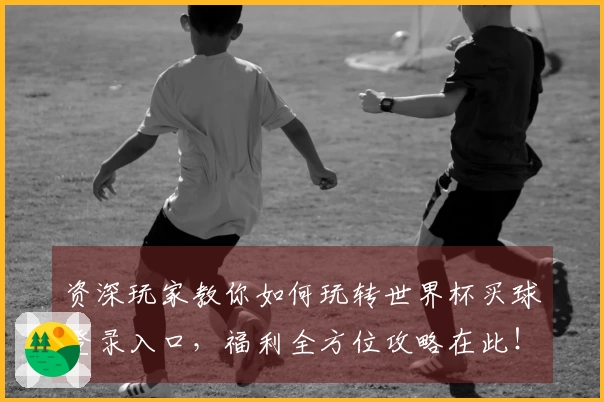资深玩家教你如何玩转世界杯买球登录入口，福利全方位攻略在此！