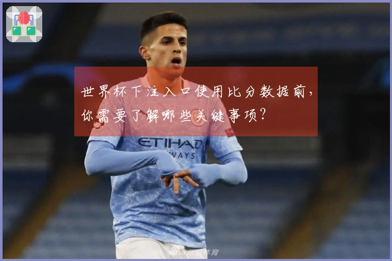 世界杯下注入口使用比分数据前，你需要了解哪些关键事项？