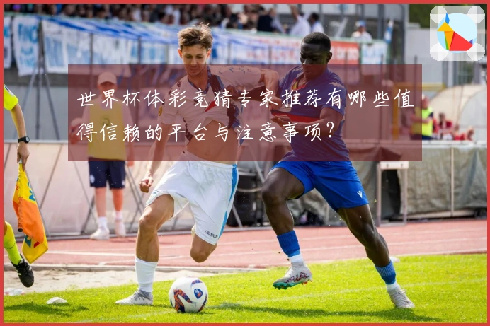 世界杯体彩竞猜专家推荐有哪些值得信赖的平台与注意事项？
