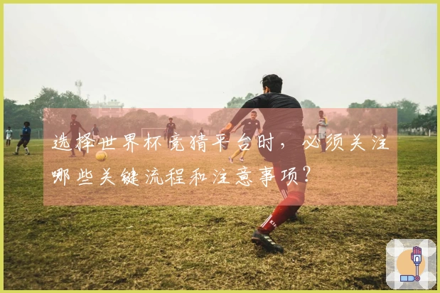 选择世界杯竞猜平台时，必须关注哪些关键流程和注意事项？