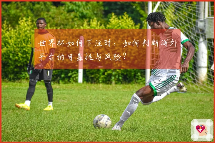 世界杯如何下注时，如何判断海外平台的可靠性与风险？