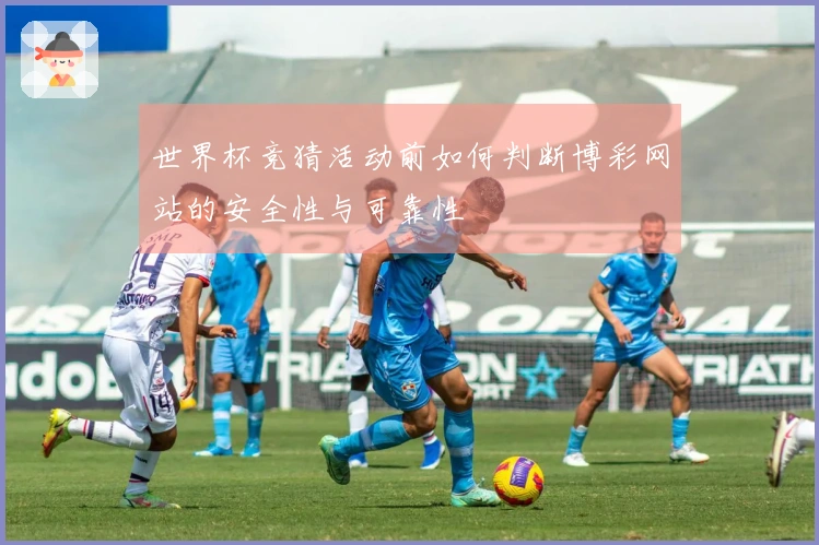 世界杯竞猜活动前如何判断博彩网站的安全性与可靠性