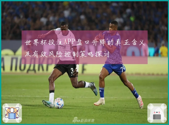世界杯投注APP盘口升降的真正含义及有效风险控制策略探讨